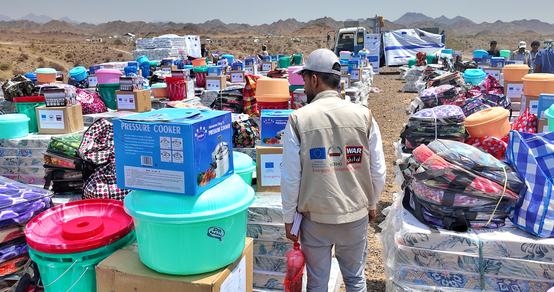 260901_WCA_YM_Taiz_Emergency responce IDps_EA2031-09-08 00_00 (2)