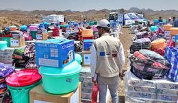 260901_WCA_YM_Taiz_Emergency responce IDps_EA2031-09-08 00_00 (2)