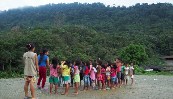 RS20753_201126_WCH_CO_Choco_CDCP_Seeds_21-lpr