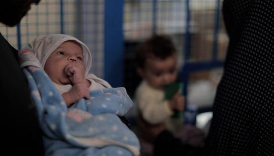 Webartikel_GazaEd_img2