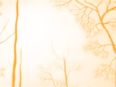 Agiorno partner War Child - logo