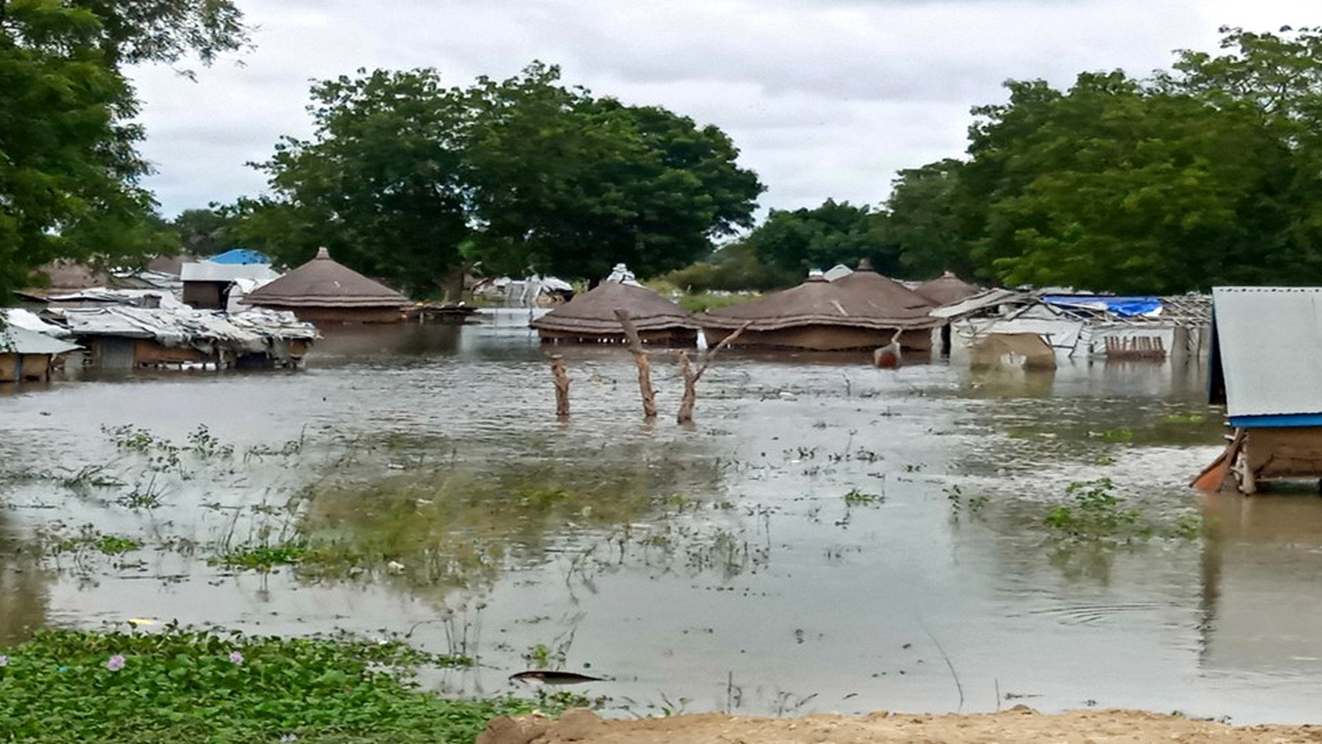 Homes in floods in Hai Machour, Anyidi payam, Bor South County.