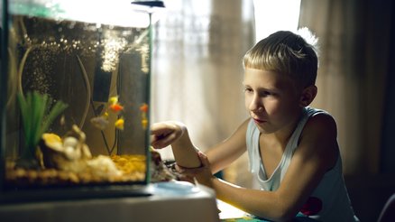 Dmitry uit Oekraïne voelt zich blij als hij met zijn vissen kan spelen